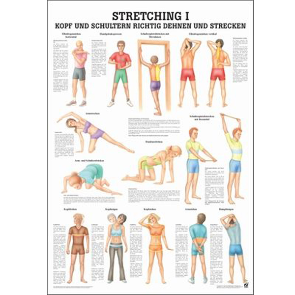 Anatomische Lehrtafel "Stretching I"